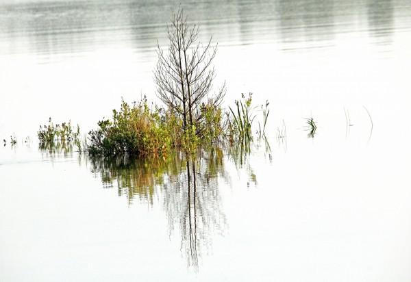Simply Nature by Deb Oppermann